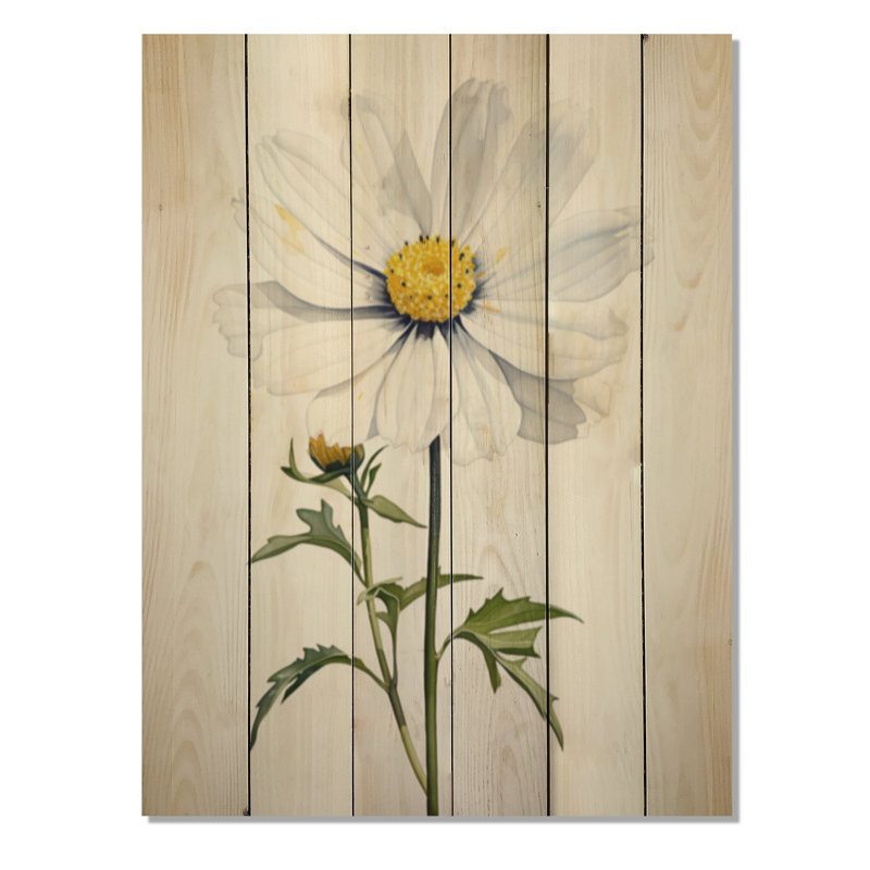 «White Daisies» Sublime Simplicity II sur impression sur bois, H 20 po x l 10 po x P 0,78 po