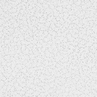 RANDOM TEXTURED 2 ft. x 2 ft. Drop-In Mineral Fiber Ceiling Tile in White (Set of 16)