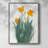 Daffodil Bunch I Framed Print - Solid Wood-851307764