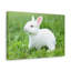 «Rabbit Hunting Rabbit on Hunt», reproduction d'art mural