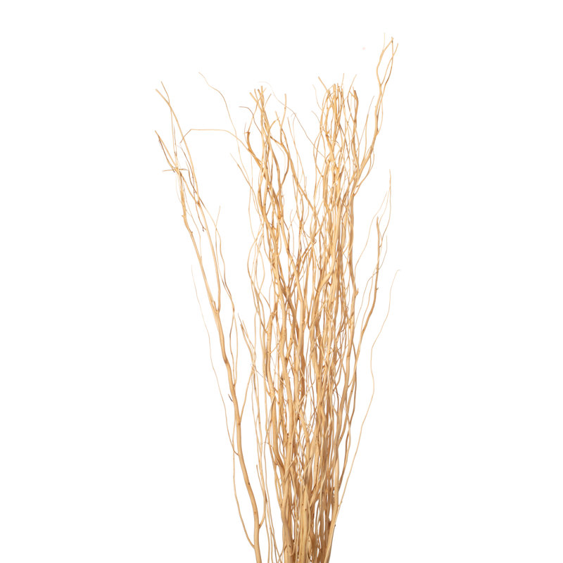 Seaford Willow Branches, Black, 59" H