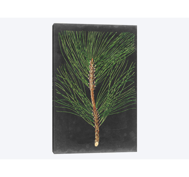 «Dramatic Pine I», impression sur toile, H 18 po x l 12 po x P 1,5 po, Toile tendue, Pas de tapis
