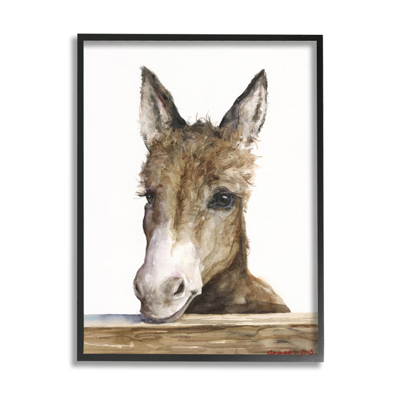 Bébé âne, adorable animal de ferme, Giclée encadrée noir minuit, H 30 po x l 24 po