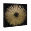 «Abstract Sunburst Golden Night», impression-66687861-119864311-51241194