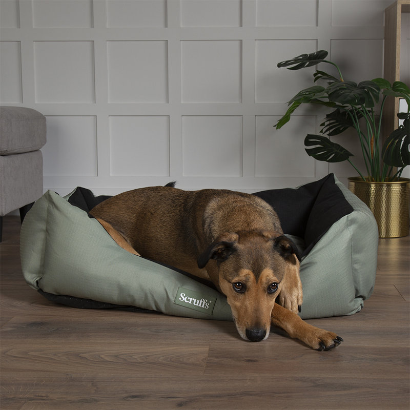 Polyester Pet Bed, 20cm H x 50cm W x 60cm D, Khaki Green