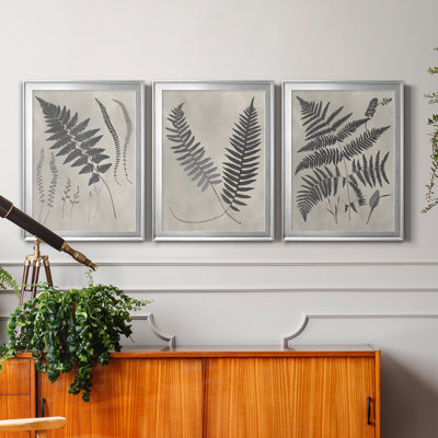 " Vintage Fern Study II " 3 - Pieces