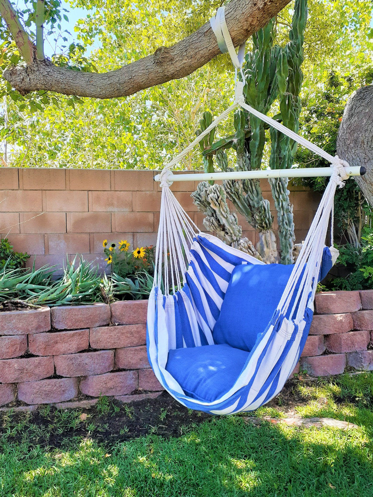 Arlmont & Co. Hammock Chair Swing,Hanging Hammock Chair Rope Swing with