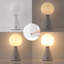 Lampe de table à intensité réglable à intensité variable avec globe tactile 11,75 "Macie-115993512