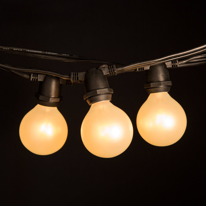 Outdoor 20 - Bulb 25'' Plug-in Globe String Light, Black