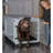 Pet Crate-97966505