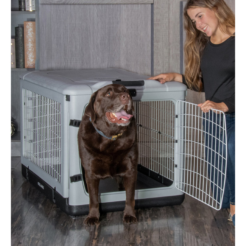 Gray Rolling Steel Pet Crate with Removable Tray
