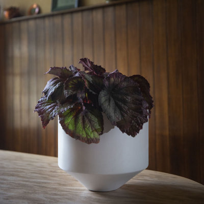 Handmade Ceramic Planter