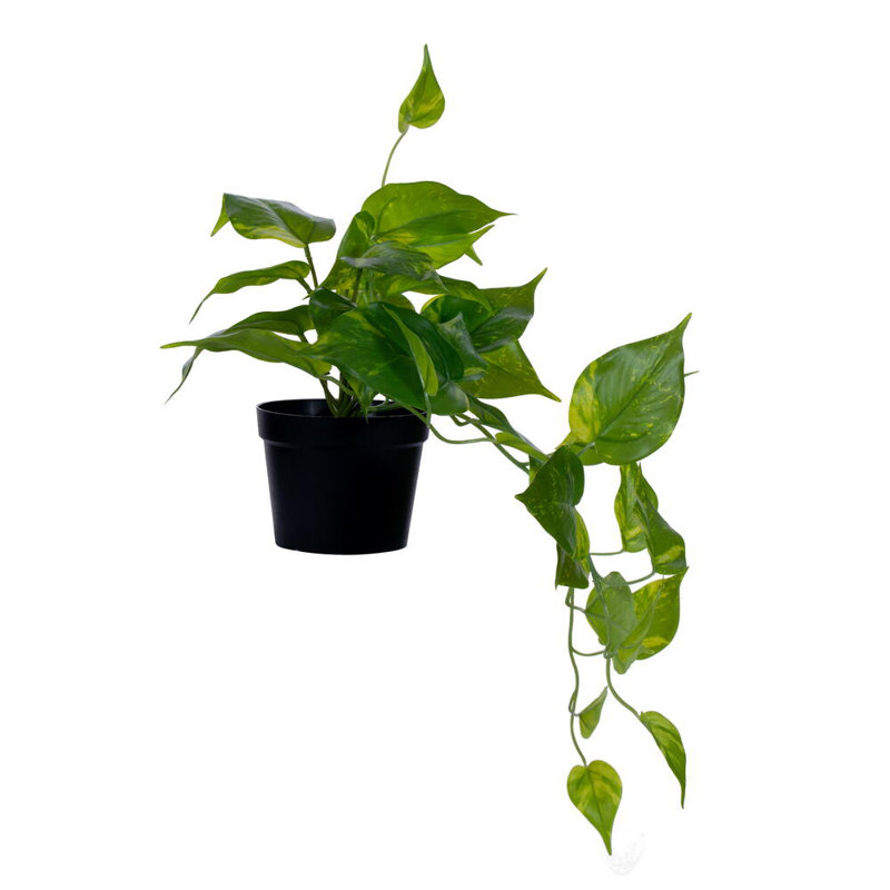 Faux Pothos Plant in Plastic Artificial