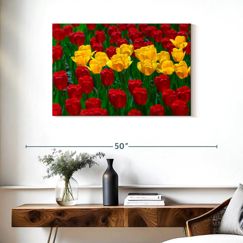 Tulipes Harnek Wisconsin Spring, H 24 po x l 36 po