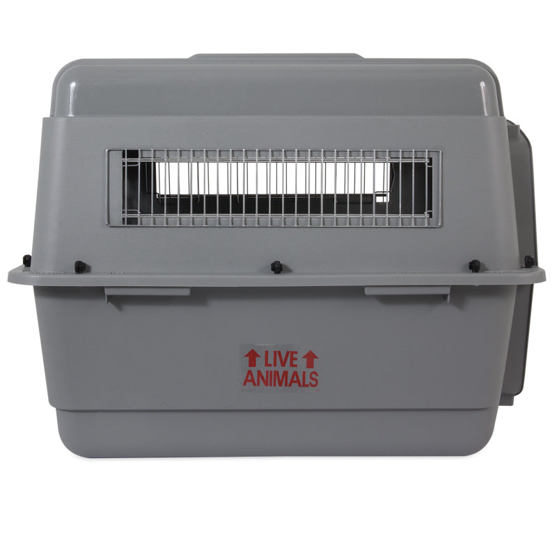 Gray Airline Approved Plastic Pet Carrier with Wire Door