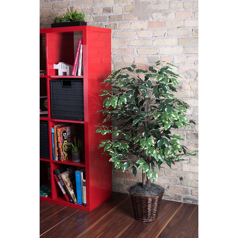 Série de ficus artificiels panachés, 48 po x 30 po