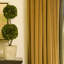 Preserved Boxwood Double Ball Topiary in Pot-465220151