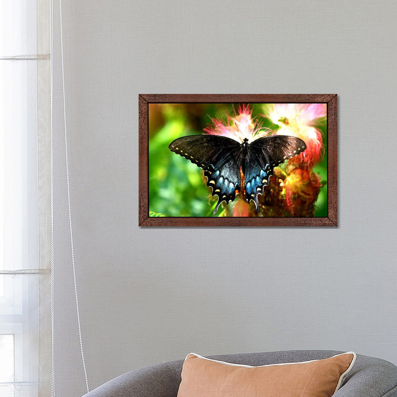 Swallowtail Butterfly - Floater Frame Print on Canvas, 66.04 cm H x 45.72 cm W, Brown Framed
