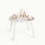Activity Table