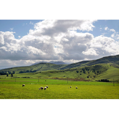 Green Farmland by Cmfotoworks - Wrapped Canvas Print