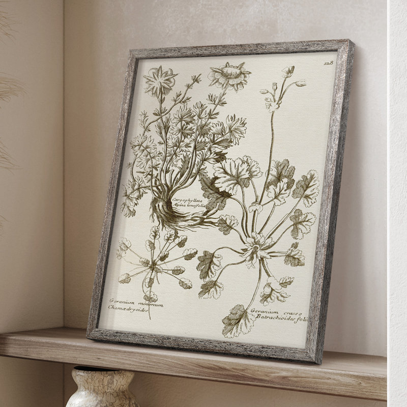 «Sepia Botanical Journal», reproduction encadrée en bois massif, H 30 po x l 24 po