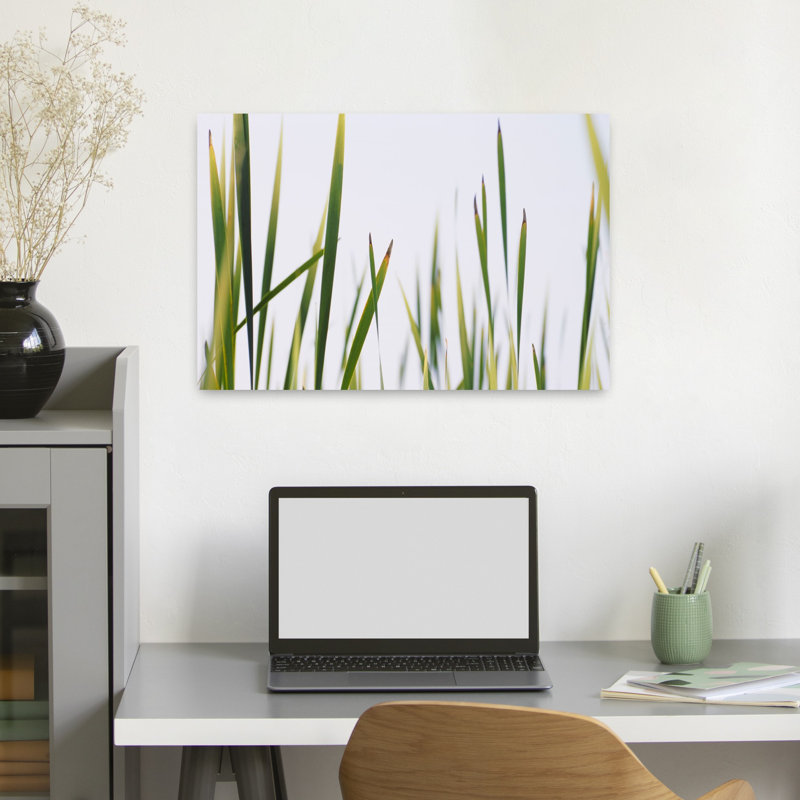 Gros plan sur une herbe à quenouilles, Typha Latifolia, paysage contemporain abstrait, art naturel, H 16 po x l 24 po