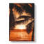 Palm Tree Sunset - Wrapped Canvas-56666226