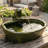 Hyman Frog Contemporary Green Ceramic Solar Water Fountain