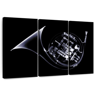 French Horn X-Ray