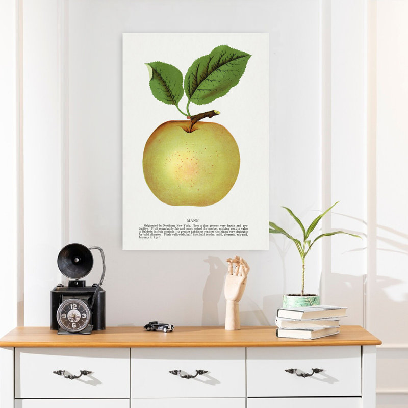 Pomme de lin Mann, H 24 po x l 16 po