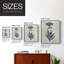 «Marine Pressed Flowers I», reproduction encadrée - bois massif-1725939921-1725939950