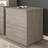 Oshinski 2 Drawer Lateral File-289721032