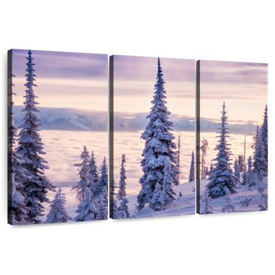 Alvord Snowy Flathead Lake