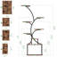 Betsabe Plant Stand