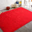 Long-haired Indoor Area Rugs-123279374