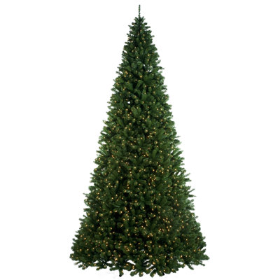 Lighted Fir Christmas Tree