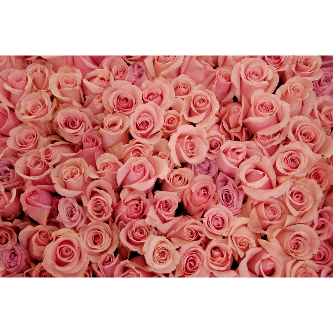 Bed Of Pale Pink Roses von LynnSeeden - Kunstdrucke auf Leinwand ohne Rahmen