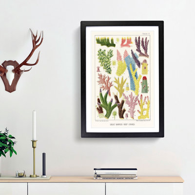 Great Barrier Reef Corals IX by W. Saville-Kent - Picture Frame Painting Print