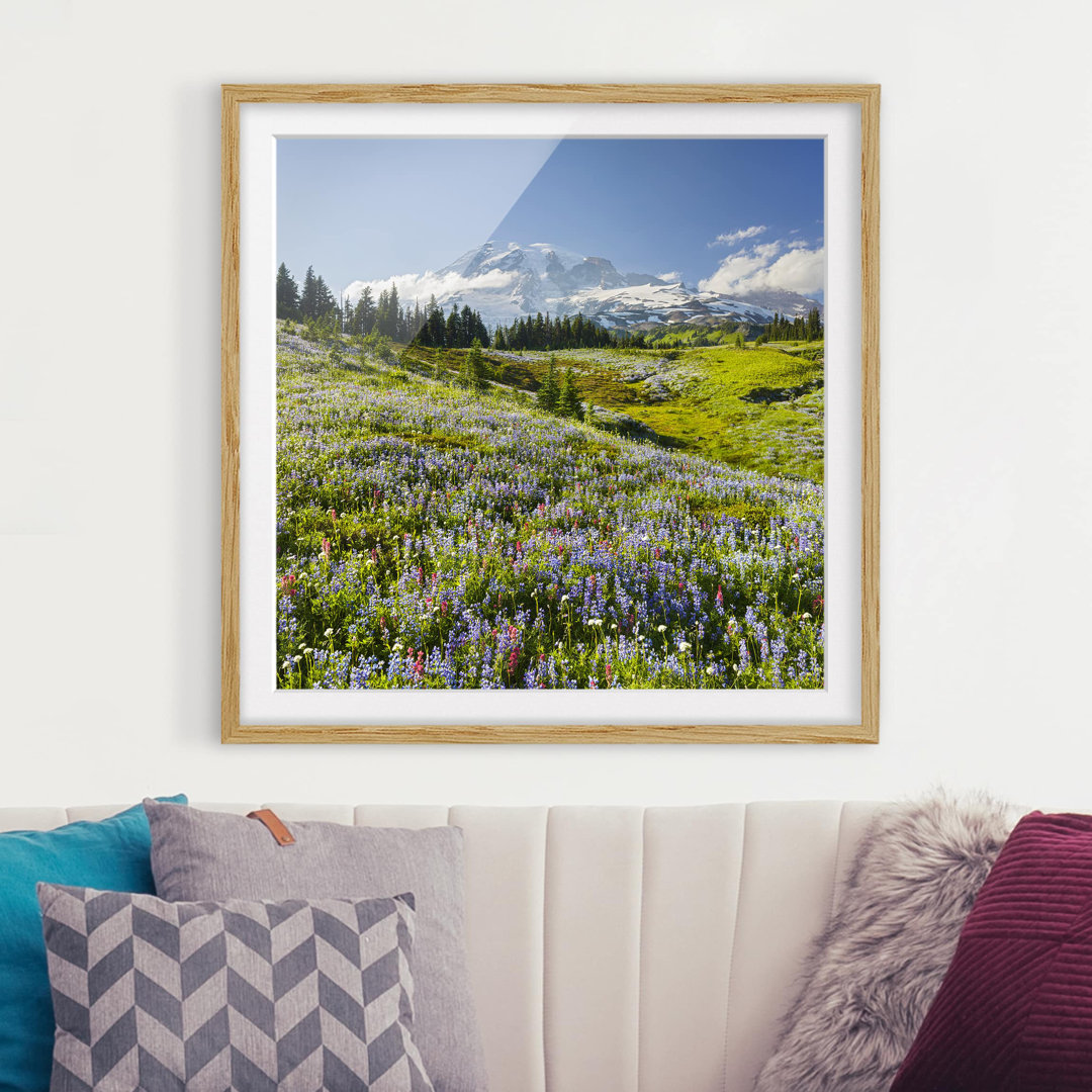 Gerahmter Fotodruck Bergwiese mit Blumen vor dem Mt. Rainier