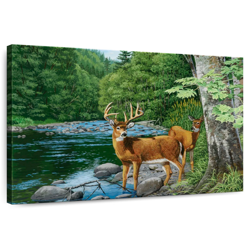 Cerf de Virginie Brampt Streamside, H 16 po x l 24 po