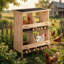 Egg Cartons / Baskets