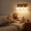 3 - Light Dimmable Vanity Light
