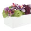 Orchid and Sedum Arranged in Fiberstone Planter-1944020320-1944020460