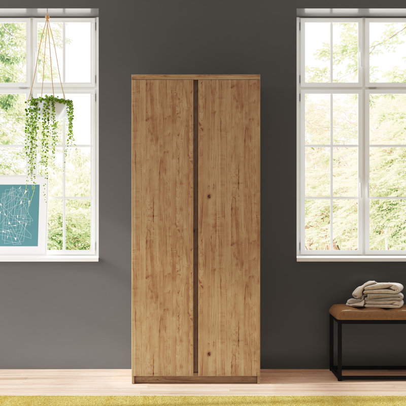 Canizales 2 Door Wardrobe with clothes rail and shelves, Oak