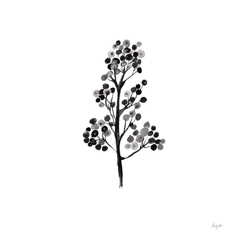 Botticelli Plant IV Black by Kristy Rice - Wrapped Canvas Print, 122cm H x 122cm W