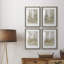 Thicket of Trees I - ensemble de 4 peintures encadrées-1022457424-1022457430