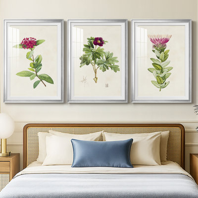 Pretty Pink Botanicals II  -Custom Framed  Premium Print W Matt - 3 Pieces