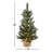 3' Pre-Lit Pine Tree