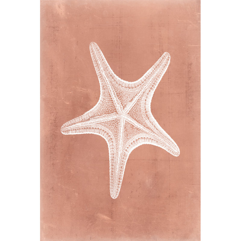 Sealife On Coral IV - Wrapped Canvas Painting, 30cm H x 20cm W x 3.8cm D