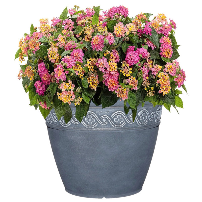 Milahn Resin Round Pot Planter, Storm Blue, 11" H x 13" W x 13" D